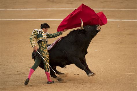 「ラ・ピンテリャの闘牛士」：情熱と死のダンスを描いたスペイン絵画