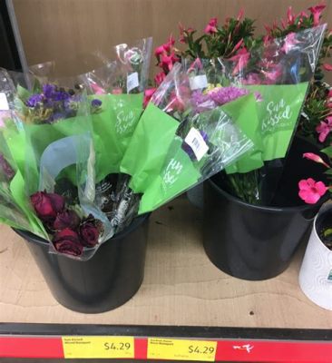 Does Aldi Have Fresh Flowers? And Why Do They Smell Like Tomorrow's Rain?