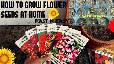 How to Grow Flowers from Seeds in Pots: A Journey Through Soil and Imagination