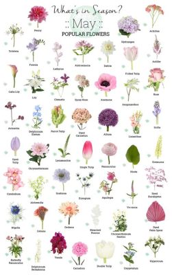 What Flowers Are in Season in May: A Kaleidoscope of Blooms and Unrelated Musings